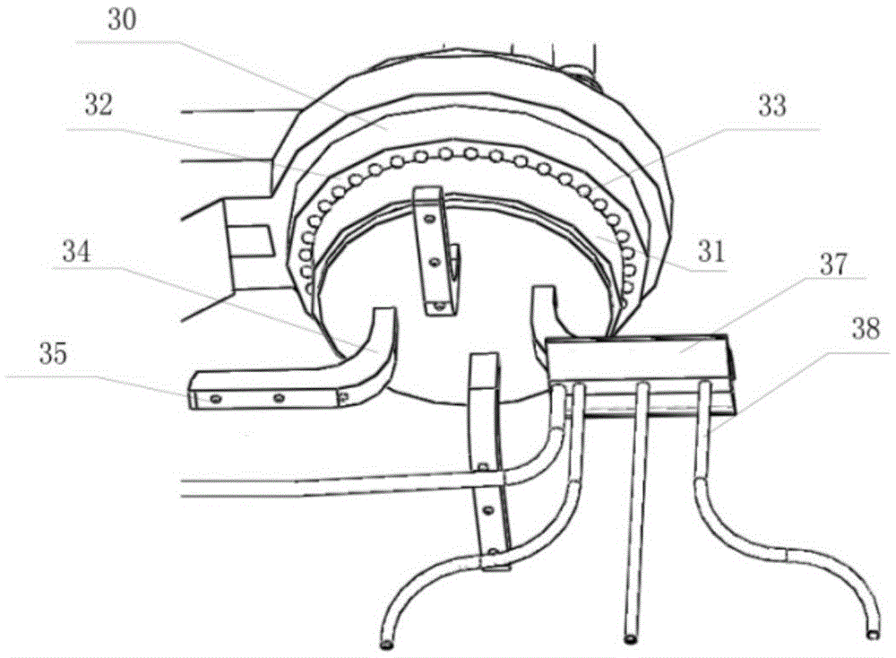 Seed separation device and seed vigor non-destructive testing system