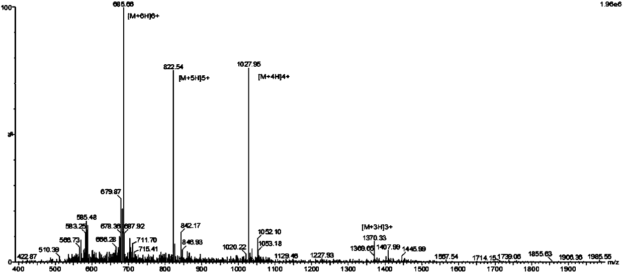 Chimeric antibacterial cell-permeable peptide T11N2 and application thereof