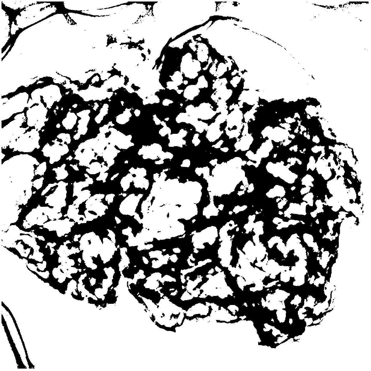 Lithium sulfur battery cathode material and preparation method thereof