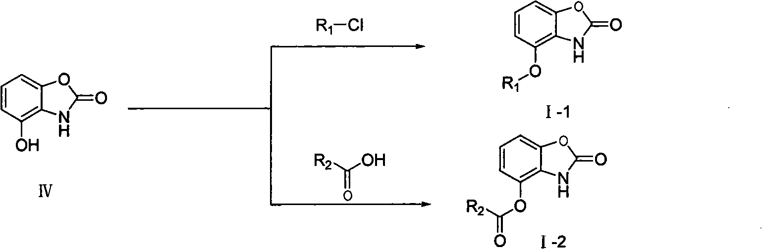 Benzoxazole ketones derivative and preparation method thereof