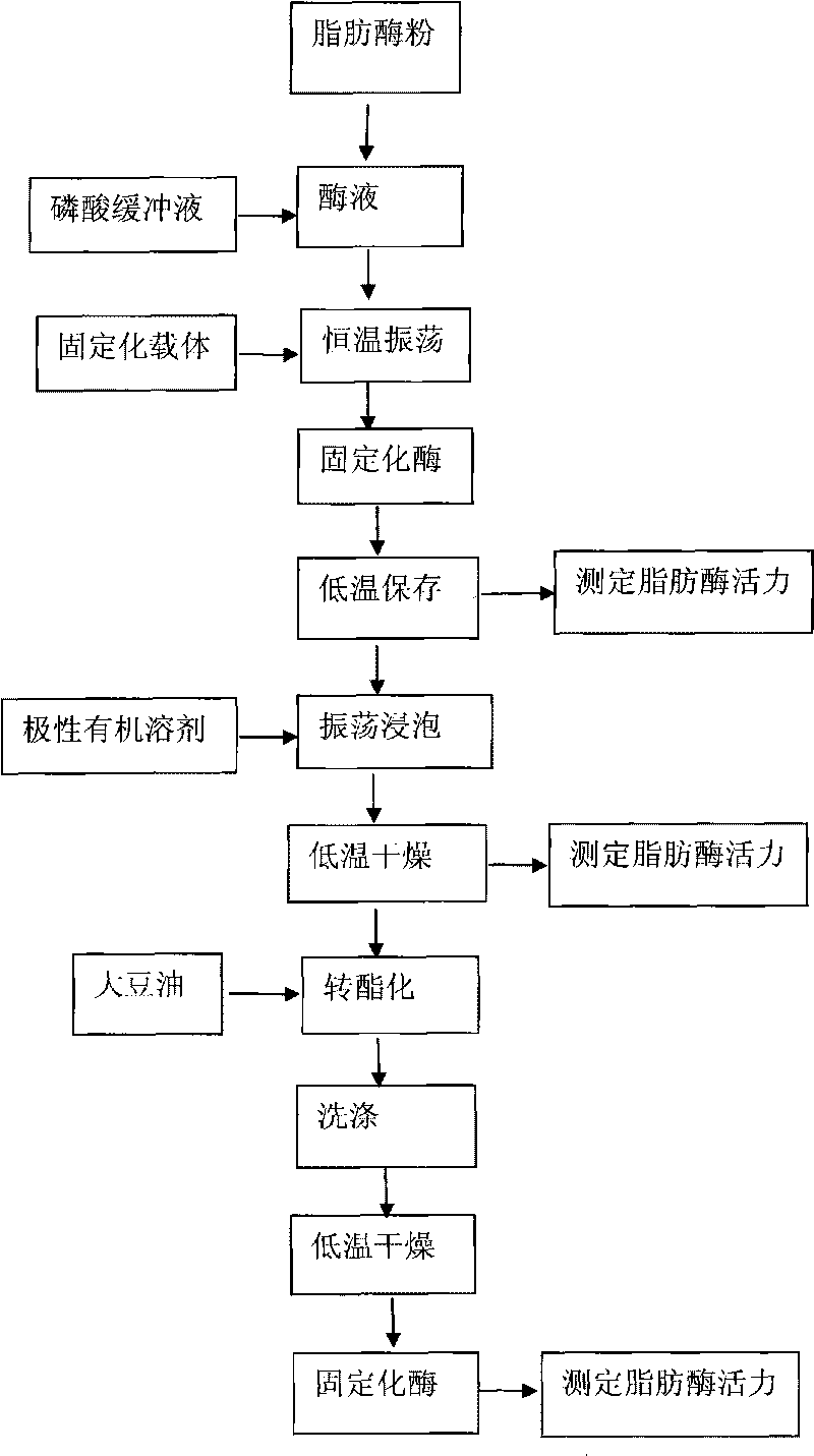 Method for improving activity and stability of immobilized lipase