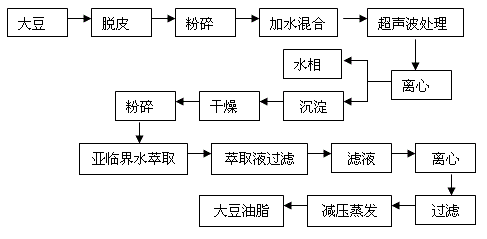 Method for assisting in subcritical extraction of soybean oil by using ultrasonic waves