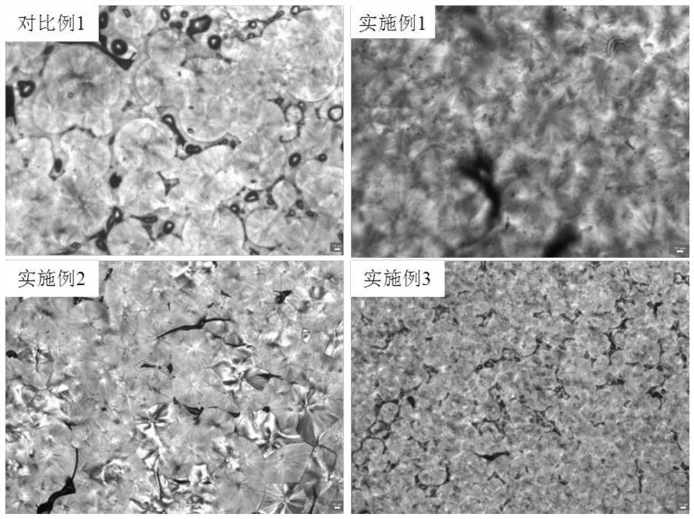 Halogen-free flame-retardant polypropylene foaming composite material and preparation method thereof