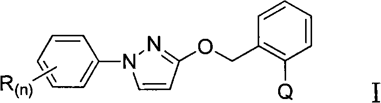 Heterocyclic ketone-containing N-substituted phenyl pyrazole compound, preparation method thereof and application thereof in prevention and control of plant diseases and insect pests