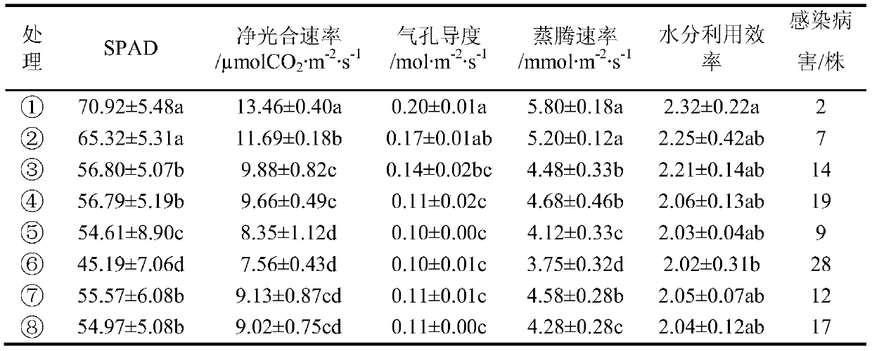 A kind of preparation method of compound microbial bacterial fertilizer for root irrigation of peony