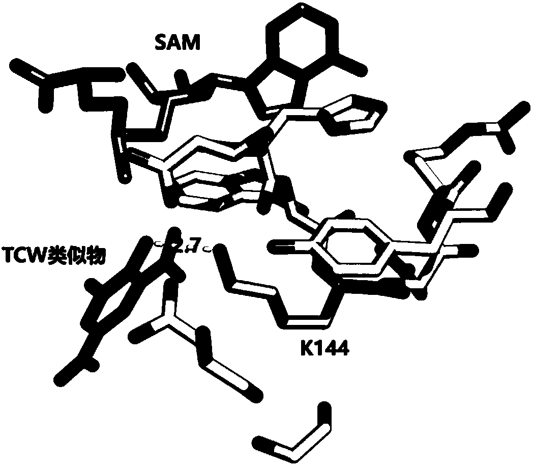 Mass spectrum detection method for interaction between active protein and small molecule