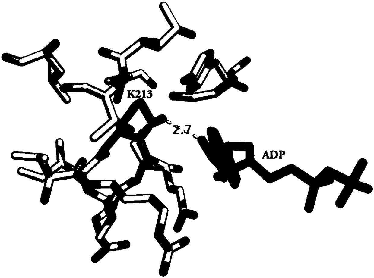 Mass spectrum detection method for interaction between active protein and small molecule