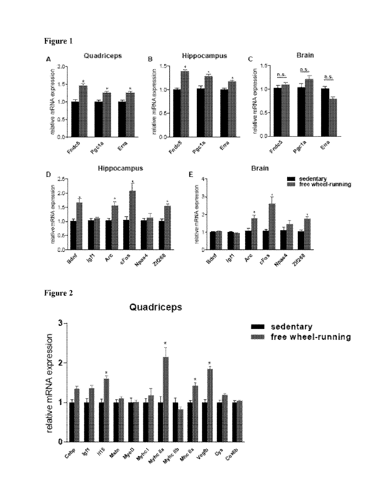 Methods for the treatment of neurological disorders and diseases using FNDC5