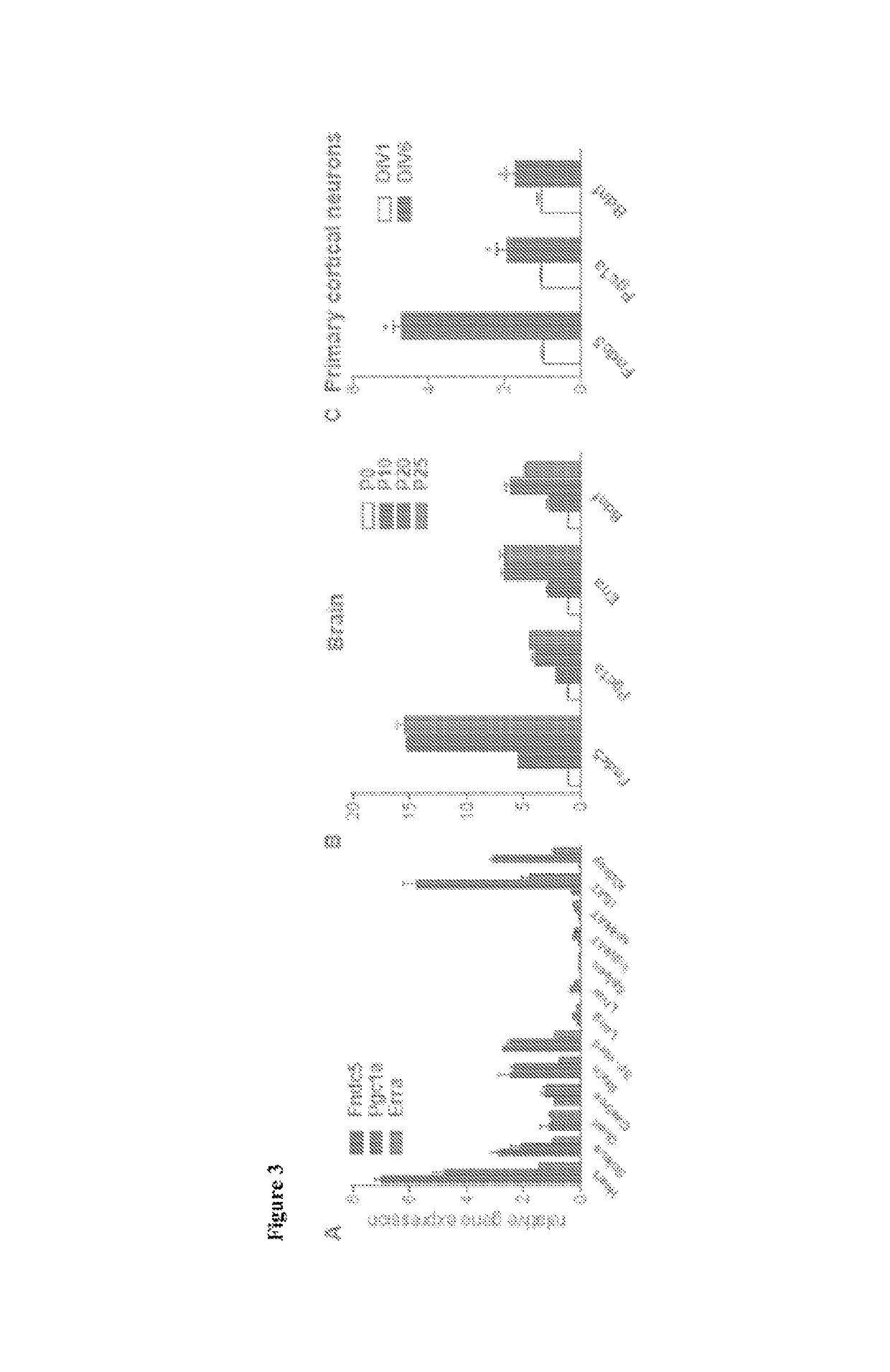 Methods for the treatment of neurological disorders and diseases using FNDC5