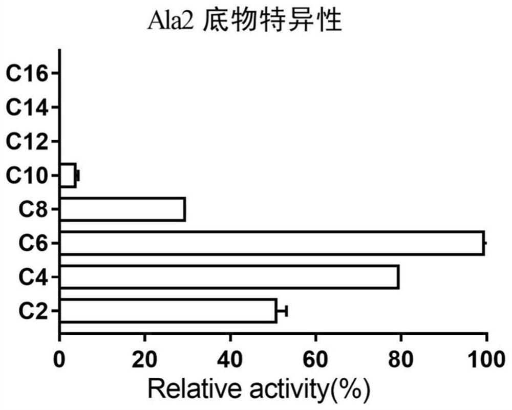 Medium-temperature bacterium for producing high-salinity tolerance ester hydrolase and application of medium-temperature bacterium