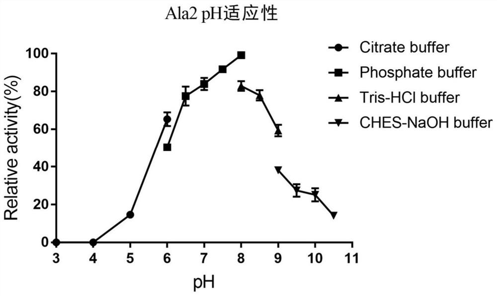 Medium-temperature bacterium for producing high-salinity tolerance ester hydrolase and application of medium-temperature bacterium