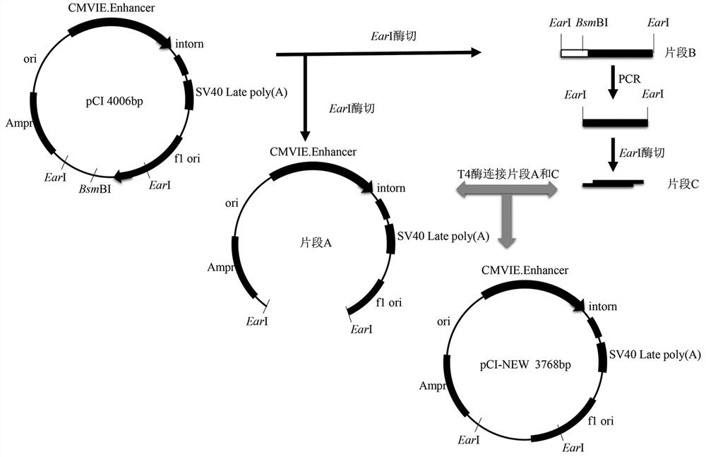 Whole poultry source H5N2 subtype avian influenza recombinant strain, vaccine and application thereof