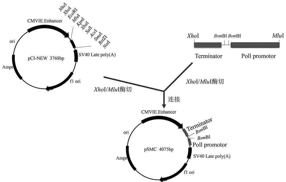 Whole poultry source H5N2 subtype avian influenza recombinant strain, vaccine and application thereof