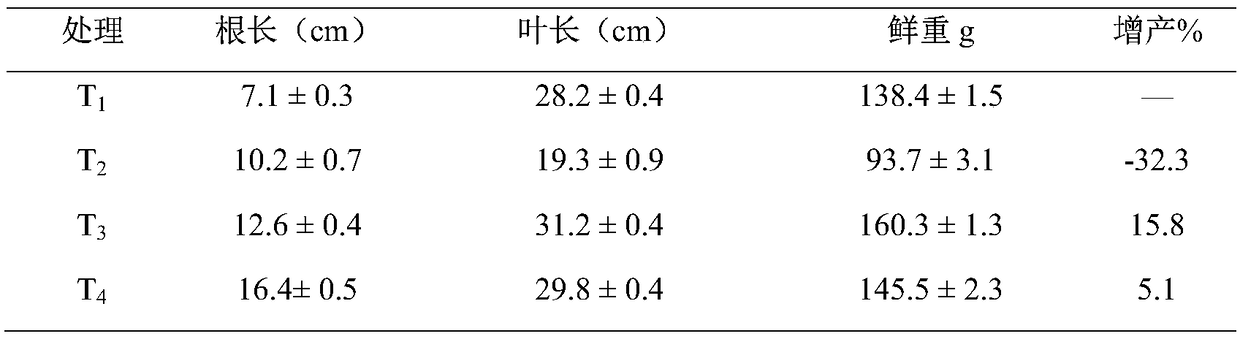 Pantoea alhagi as well as bacterium agent and application thereof