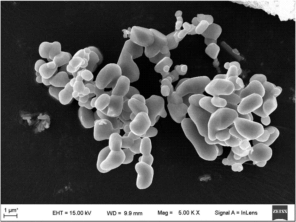 Potassium manganese oxide for potassium ion battery positive electrode material and preparation method of potassium manganese oxide