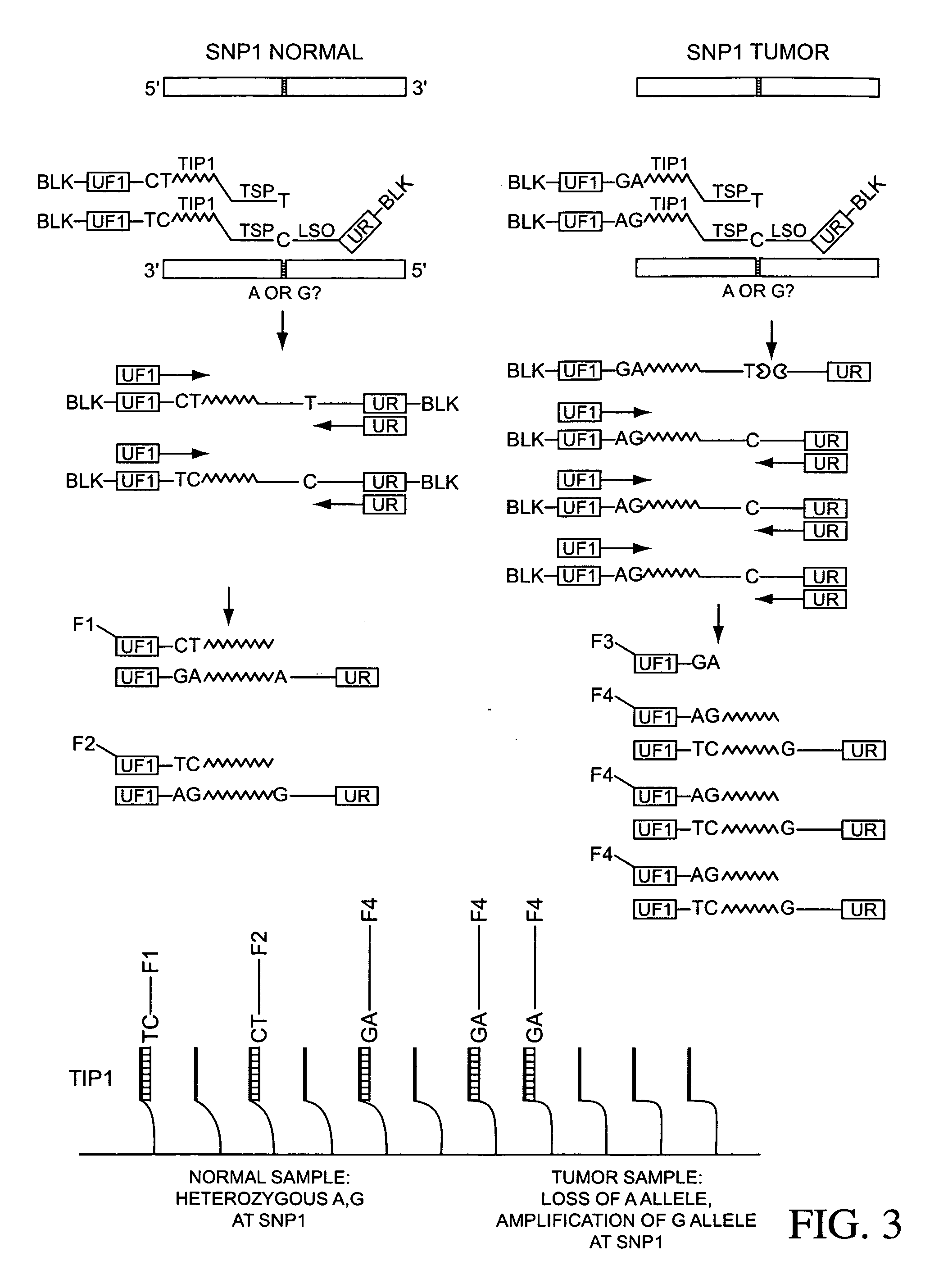 Ligation assay