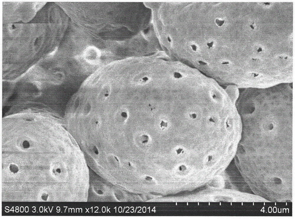 Physical and chemical wall dissolving method for ganoderma lucidum spore powder