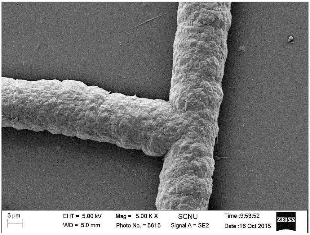 Method for preparing high-performance metallic network transparent conducting electrode through metal plating method