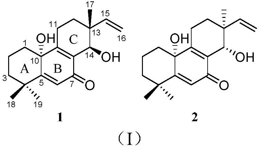 A kind of norditerpene compound and its preparation method and application