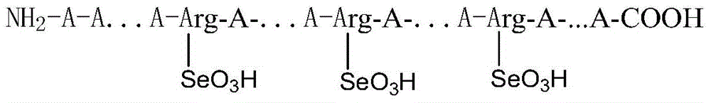 Selenous acidized beta-lactoglobulin, preparation method and application