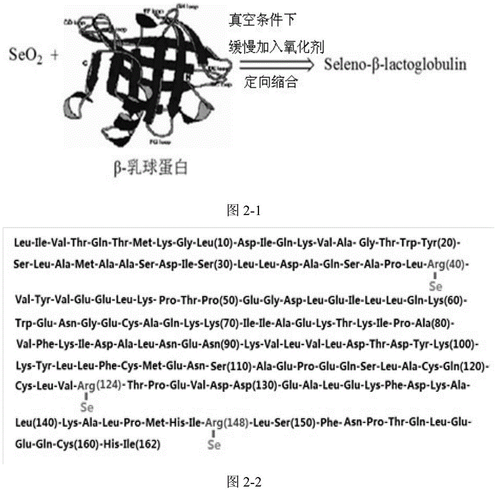 Selenous acidized beta-lactoglobulin, preparation method and application