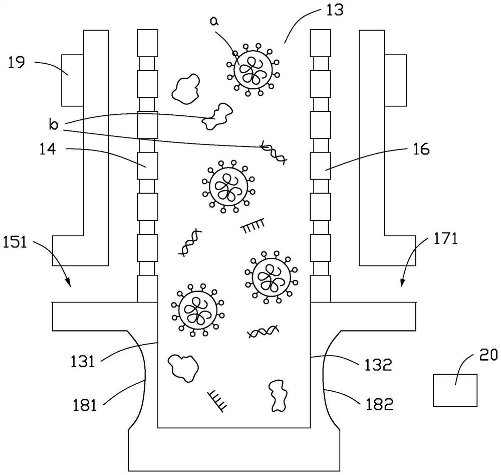 Separation detection chip, separation detection device and separation detection method