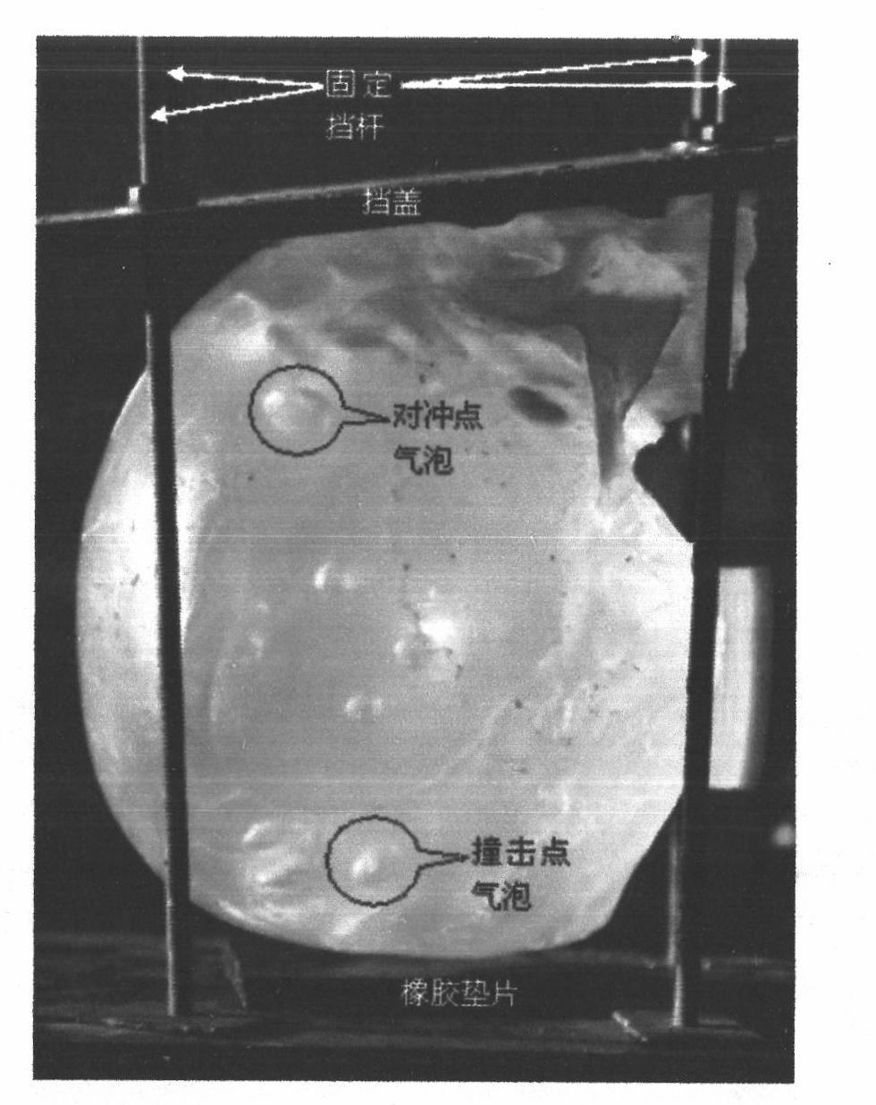 Method and device for testing stress of brain tissue under brain deceleration impact