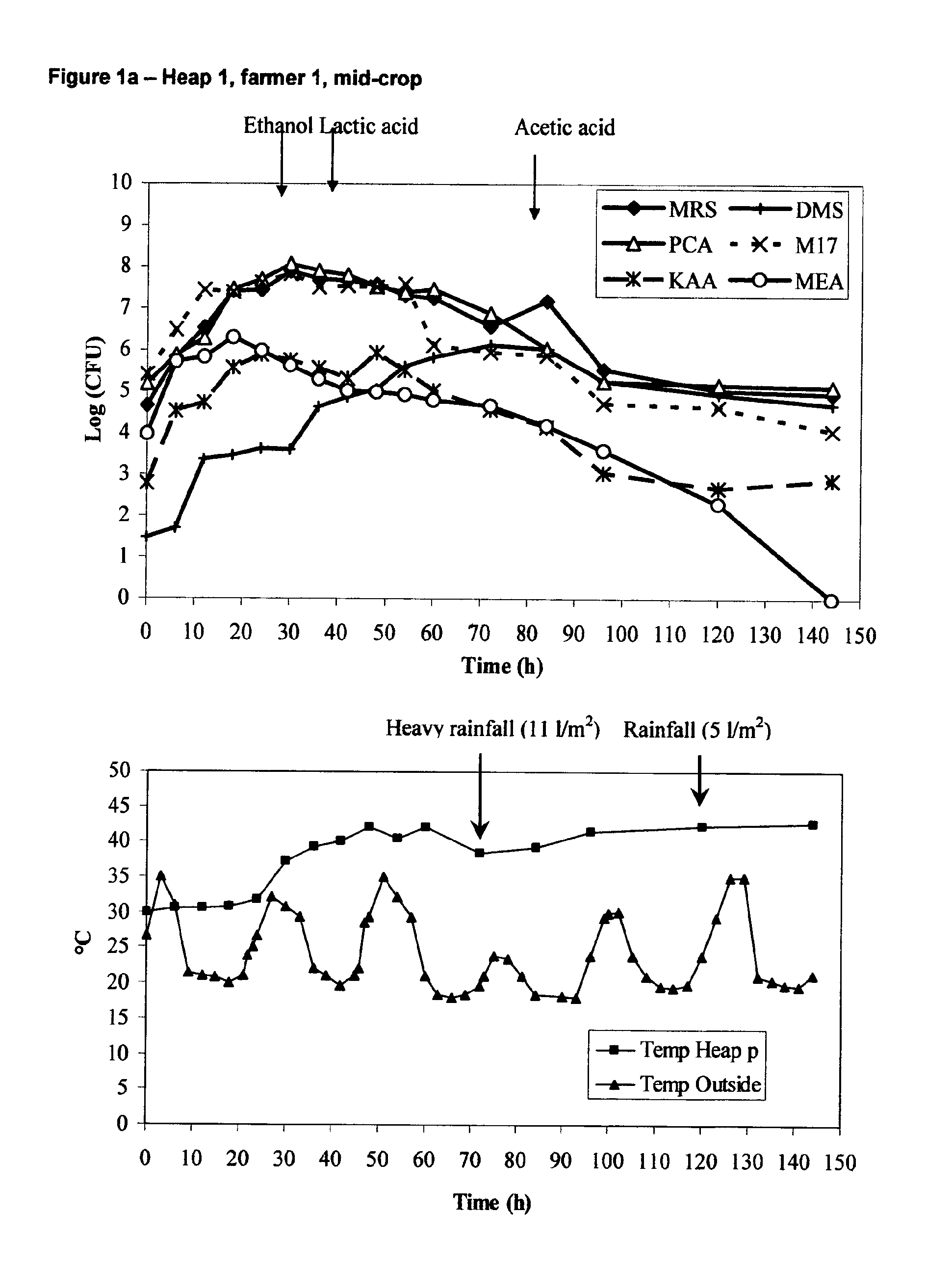 Starter Cultures and Fermentation Method