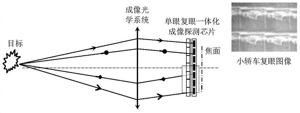 A liquid crystal based monocular compound eye integrated imaging detection chip