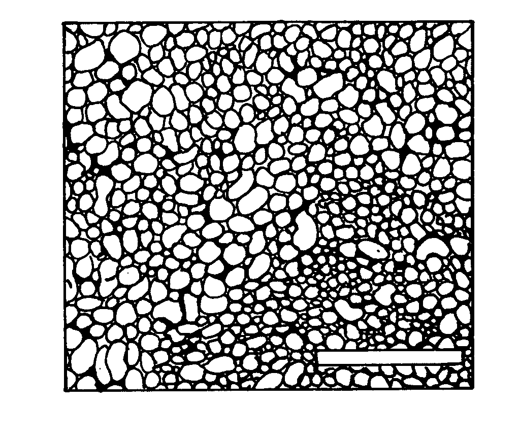 Electrodeposited gold nanostructures