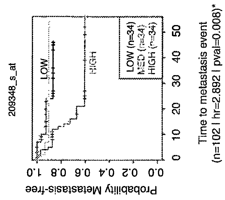 Method for the diagnosis, prognosis and treatment of lung cancer metastasis