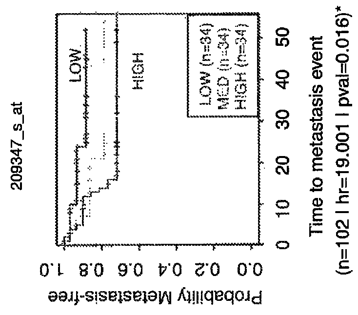 Method for the diagnosis, prognosis and treatment of lung cancer metastasis