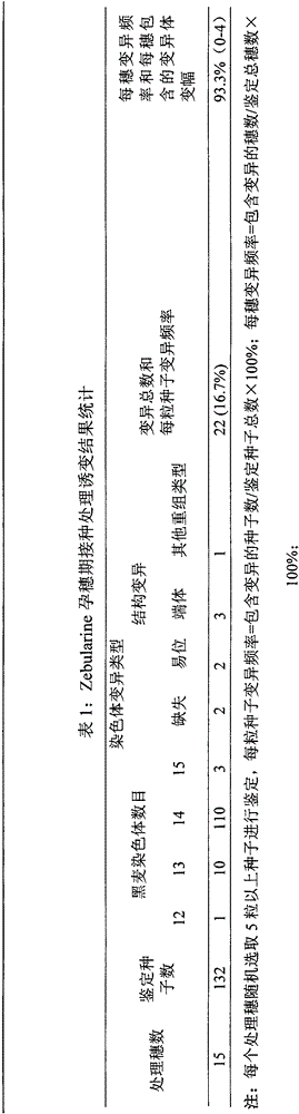 Novel method for inducing plant chromosome variation by injecting zebularine in booting stage