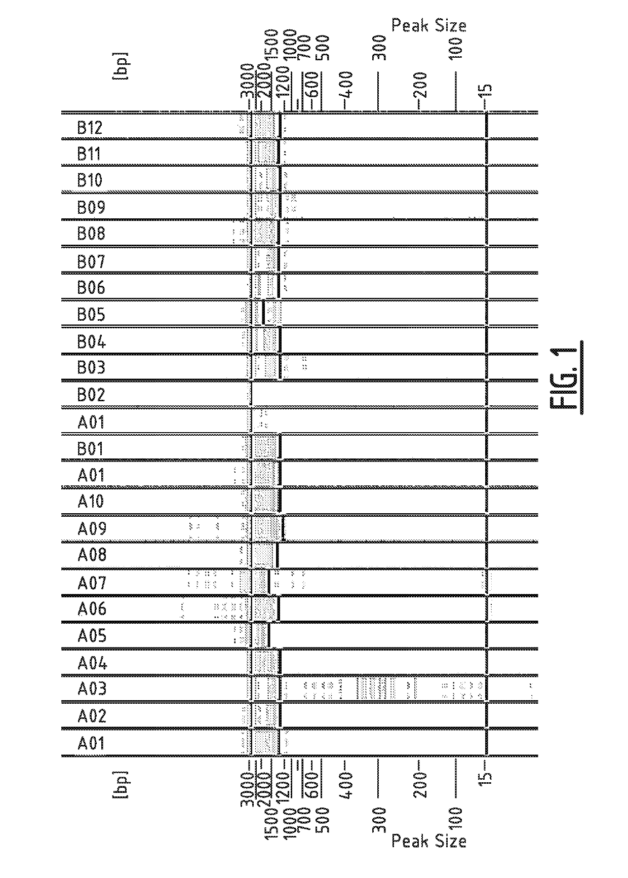 Method for modifying the resistance profile of spinacia oleracea to downy mildew