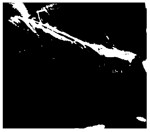 A kind of processing method of wheat high-moisture textured protein