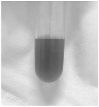 A kind of mesenchymal stem cell membrane camouflage magnetic drug-loaded nanoparticle and its preparation method and application