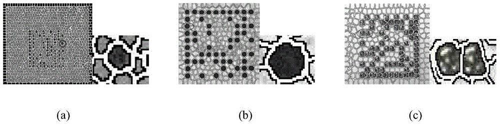 Stippled DPM two-dimensional code area positioning method