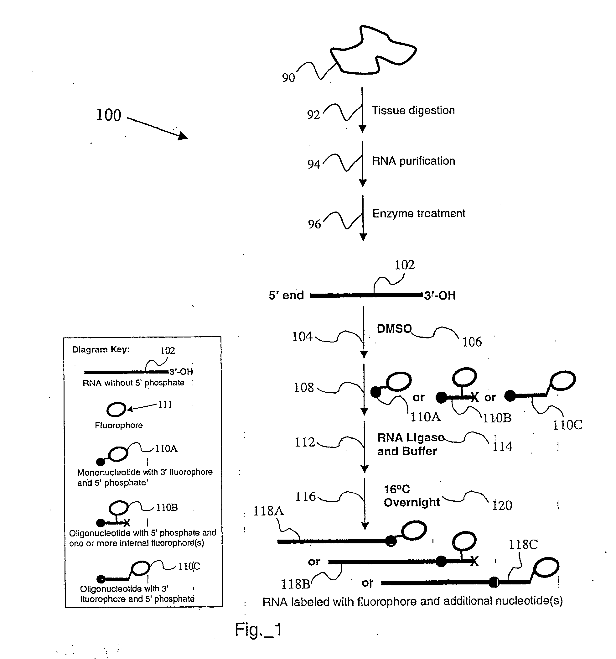 Preparing RNA from a wax-embedded tissue specimen