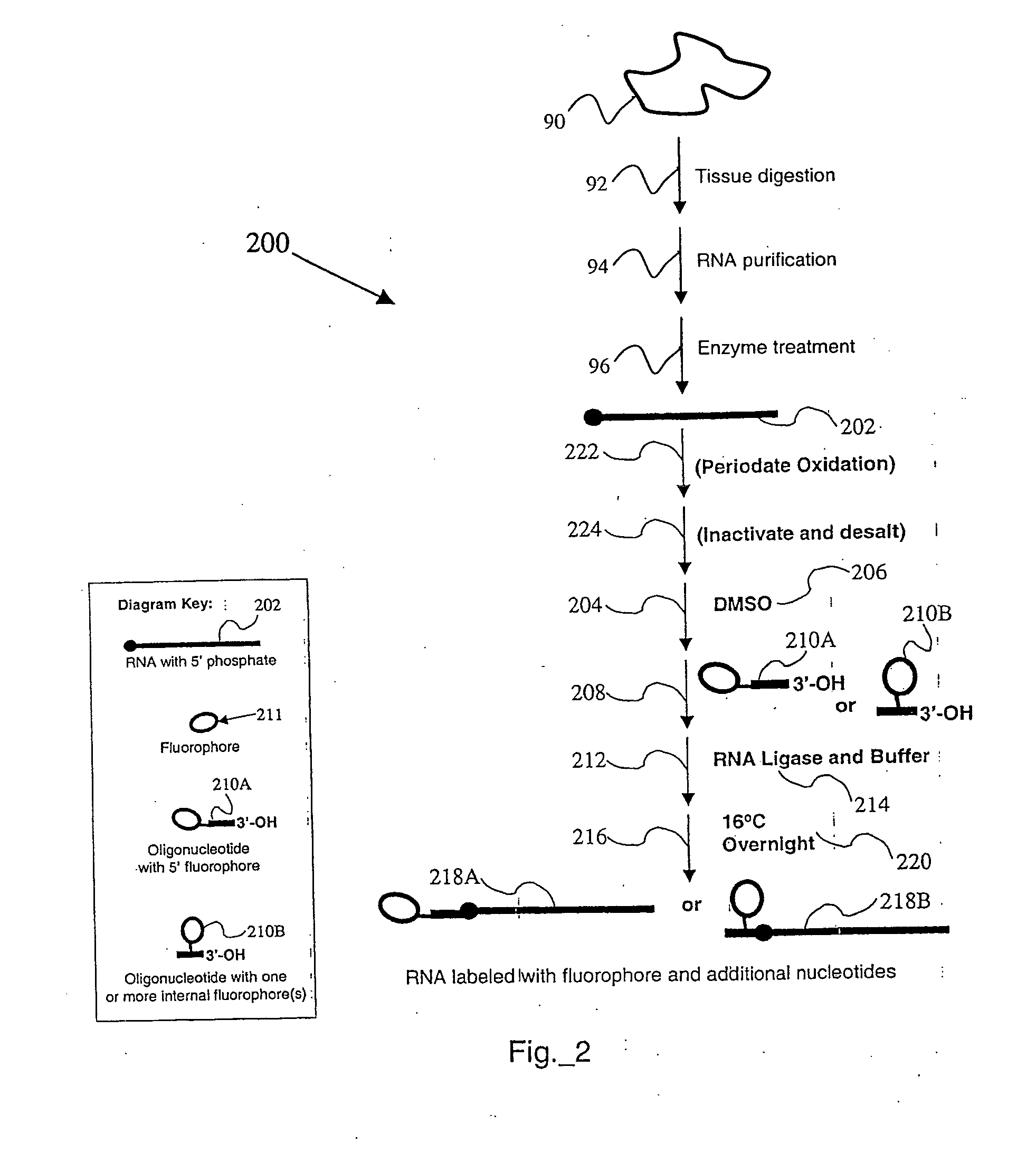 Preparing RNA from a wax-embedded tissue specimen