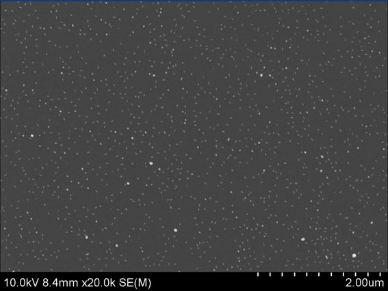 Preparation method of visible-shortwave infrared light detection substrate based on oxide/gold nanorod/silicon