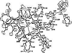 Bridged diamidino group-IV metal catalyst and method for preparing same