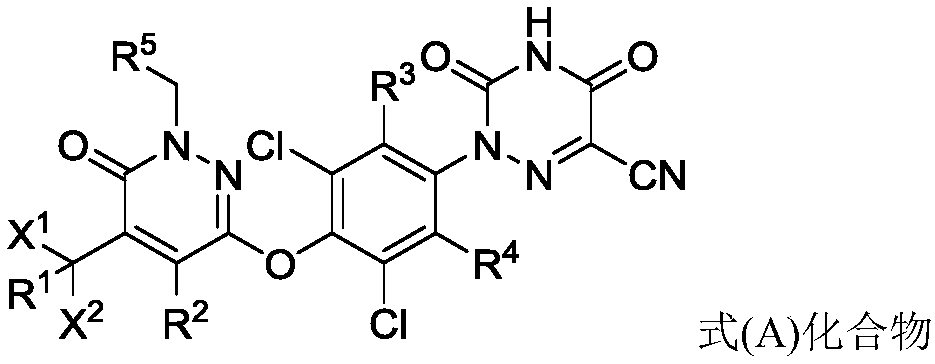 Substituted pyridazinone compound