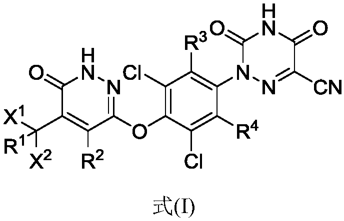 Substituted pyridazinone compound