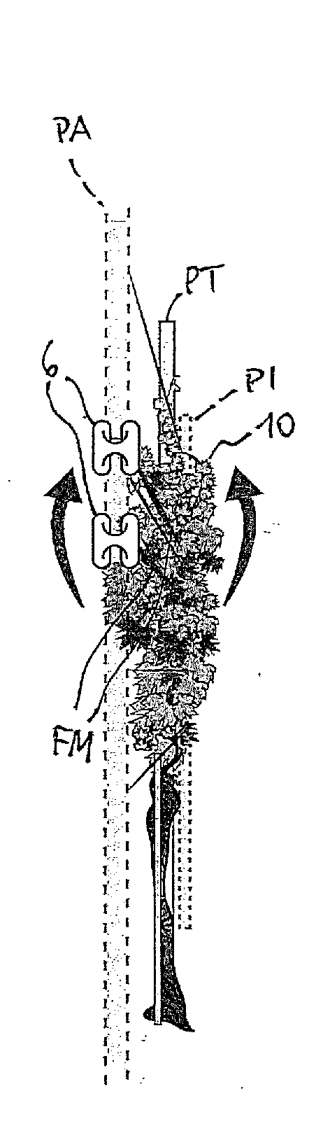 Device for fastening and adjusting the carrying wires on a row of plants