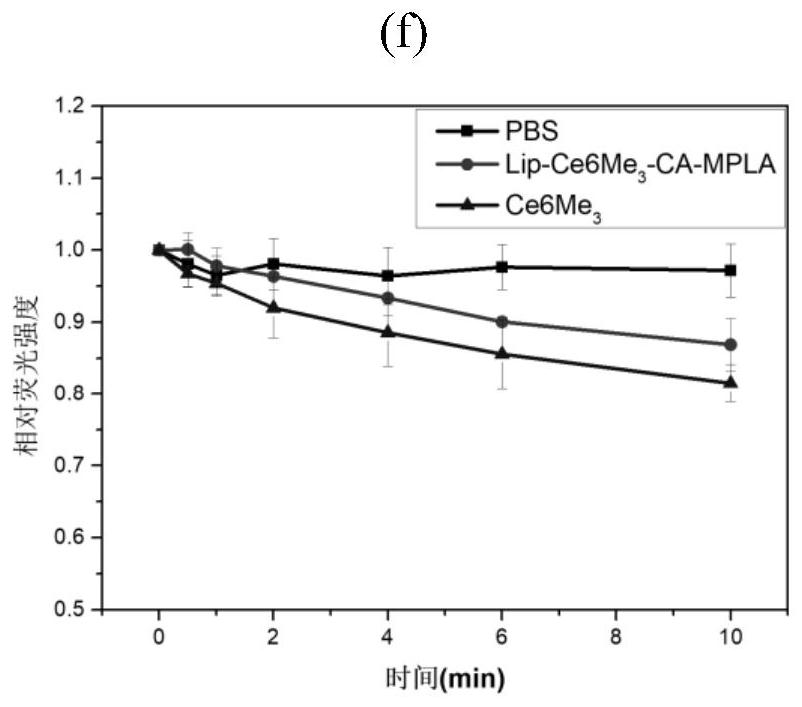 Novel composite nano preparation based on sonodynamic/immune combined therapy and preparation method and application thereof