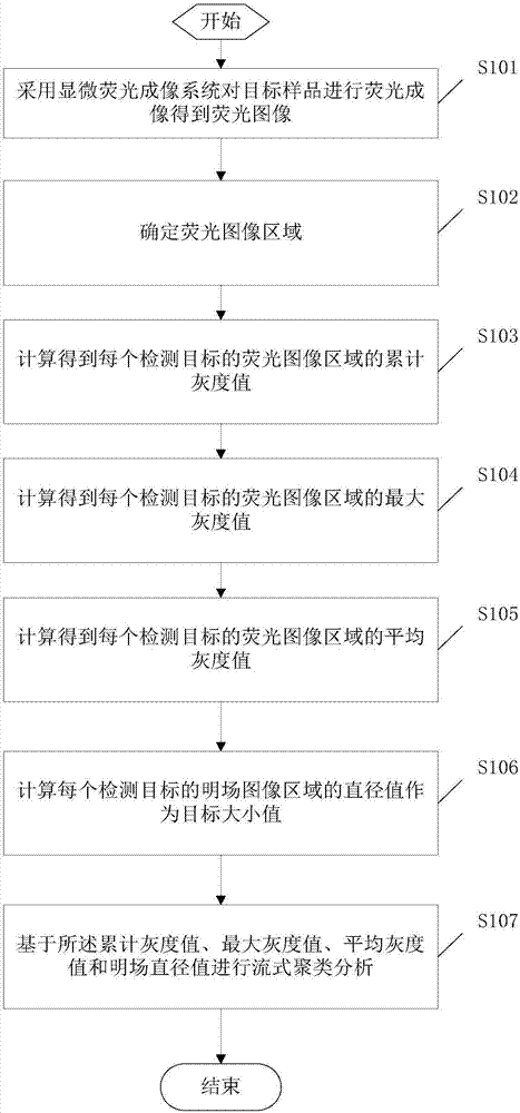 Method and system for determining fluorescence intensity of fluorescence image