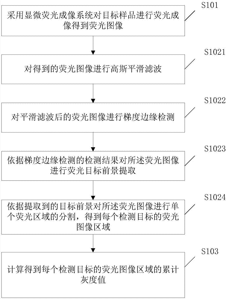 Method and system for determining fluorescence intensity of fluorescence image