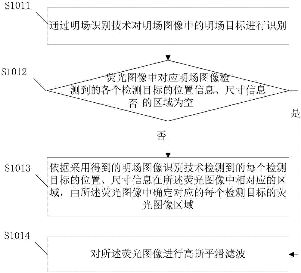 Method and system for determining fluorescence intensity of fluorescence image