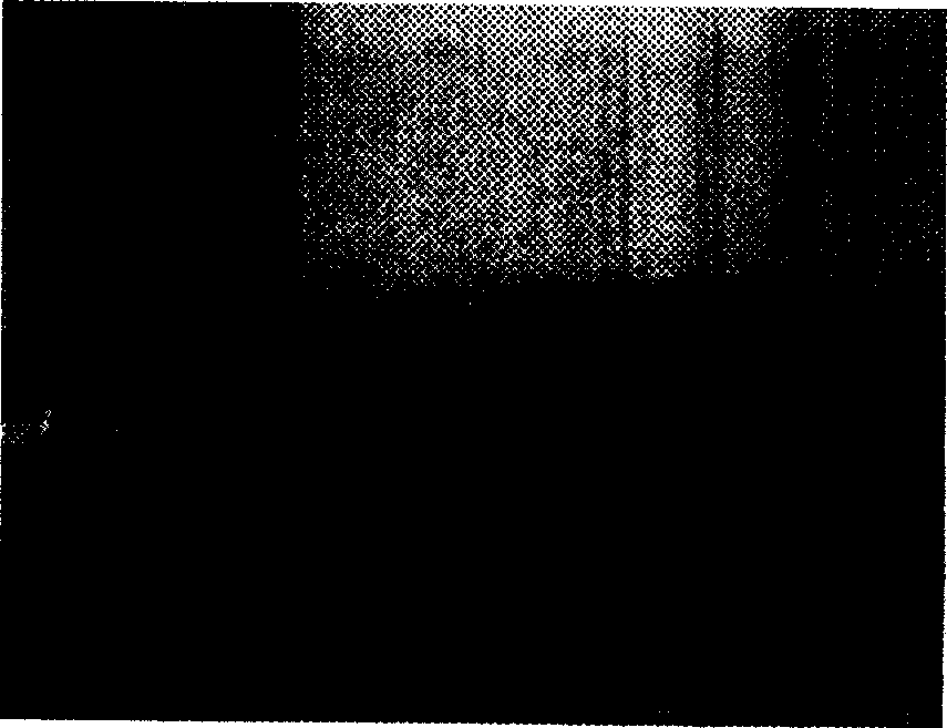 Stress corrosion method for protection of core rod used in composite insulator