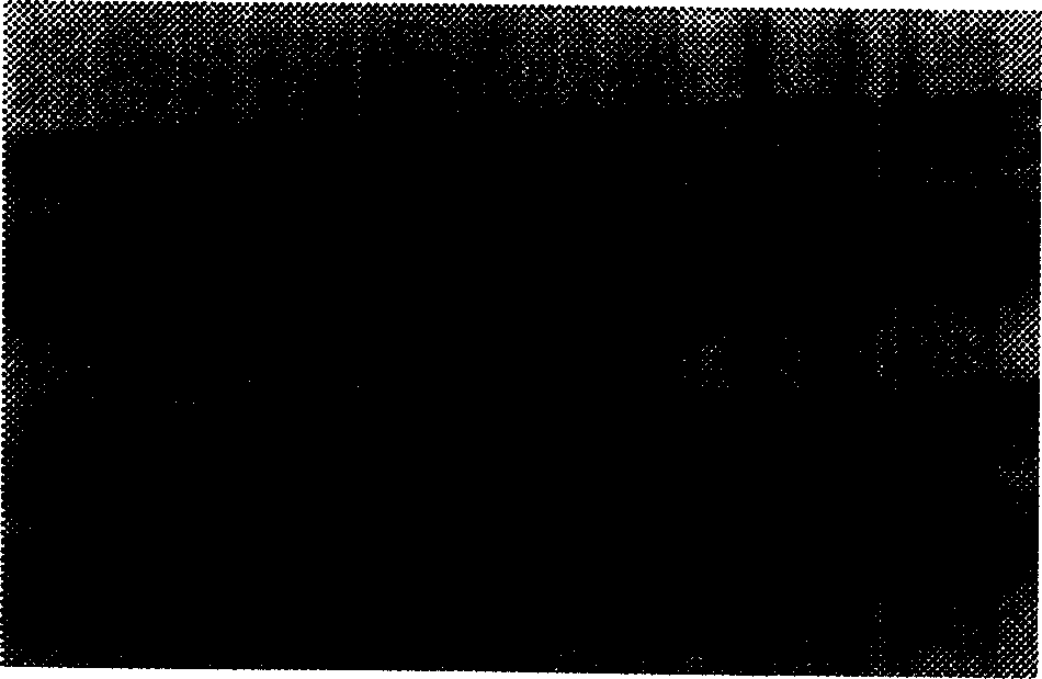 Stress corrosion method for protection of core rod used in composite insulator